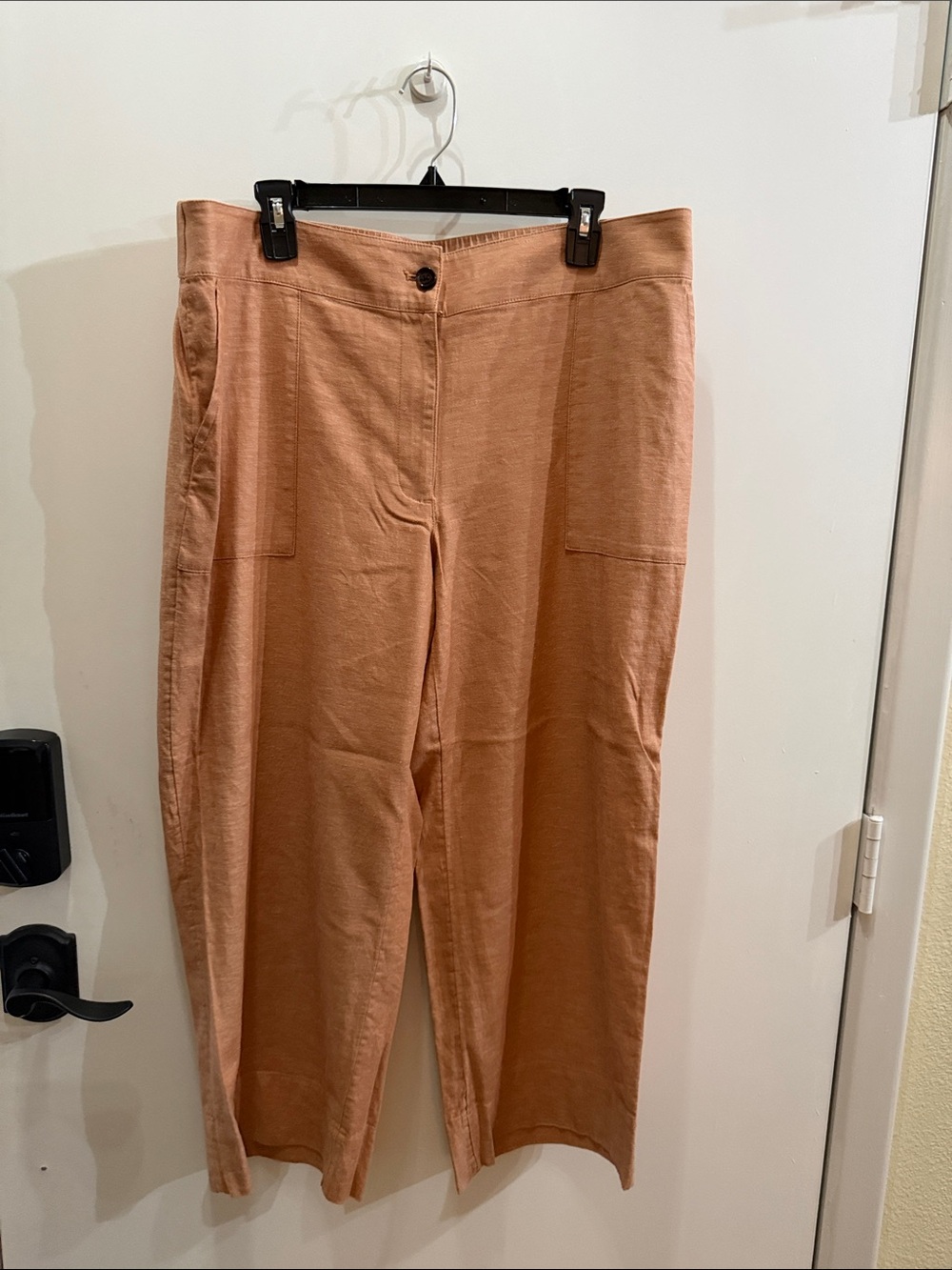 Womens Tan Wide-Leg Pull-On Pants NWOT L